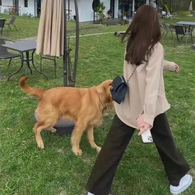 男人的儿子